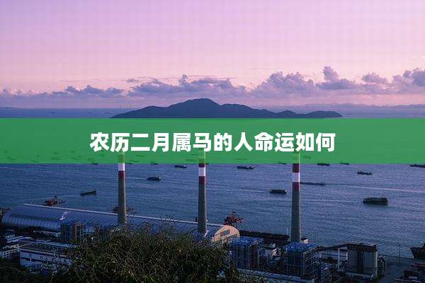 农历二月属马的人命运如何