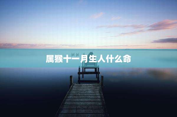 属猴十一月生人什么命