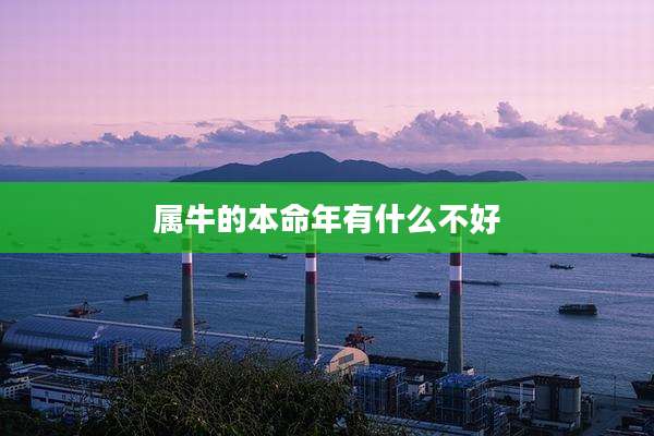 属牛的本命年有什么不好