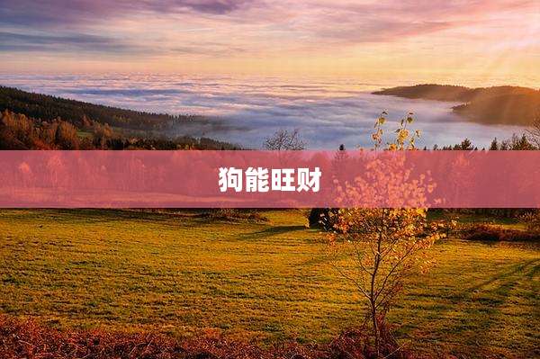 狗能旺财