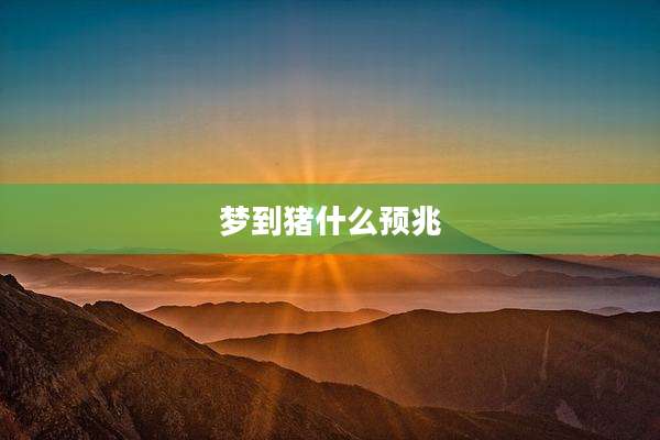 梦到猪什么预兆