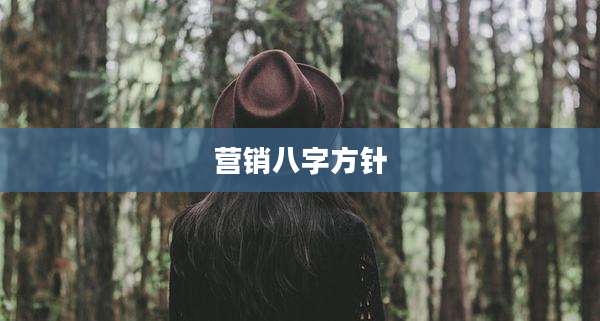营销八字方针