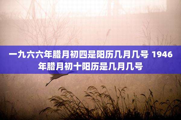 一九六六年腊月初四是阳历几月几号 1946年腊月初十阳历是几月几号
