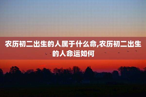 农历初二出生的人属于什么命,农历初二出生的人命运如何