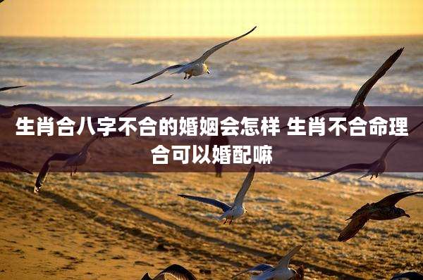 生肖合八字不合的婚姻会怎样 生肖不合命理合可以婚配嘛