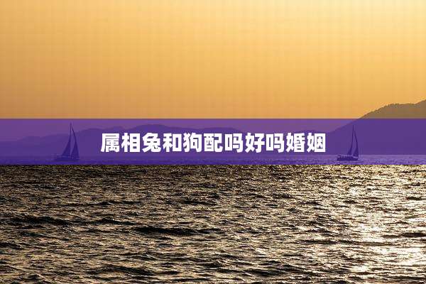 属相兔和狗配吗好吗婚姻