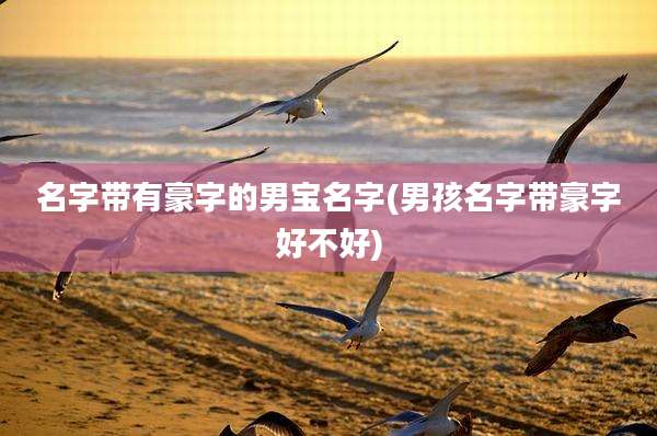名字带有豪字的男宝名字(男孩名字带豪字好不好)
