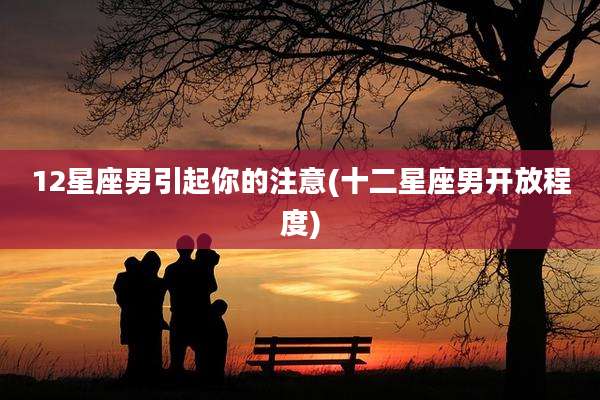 12星座男引起你的注意(十二星座男开放程度)