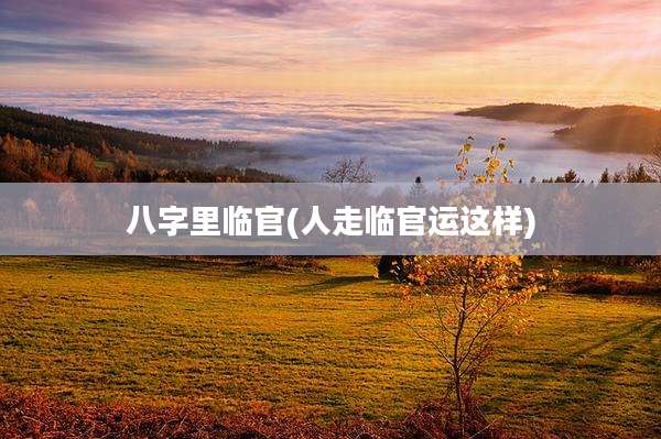 八字里临官(人走临官运这样)