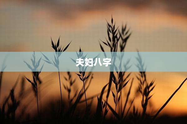 夫妇八字