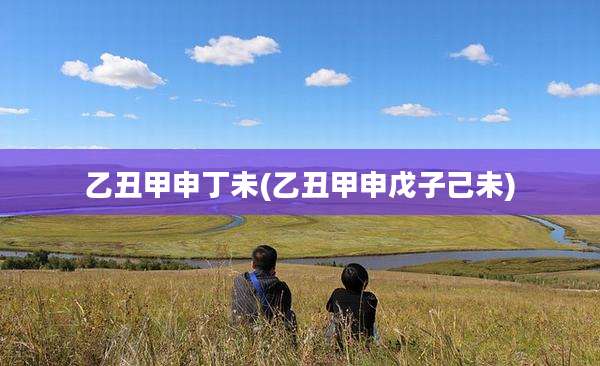 乙丑甲申丁未(乙丑甲申戊子己未)
