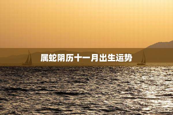 属蛇阴历十一月出生运势