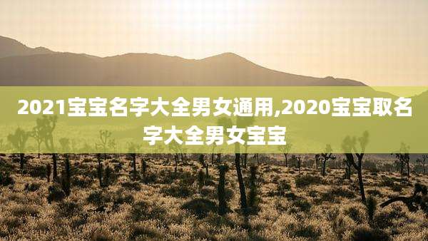 2021宝宝名字大全男女通用,2020宝宝取名字大全男女宝宝