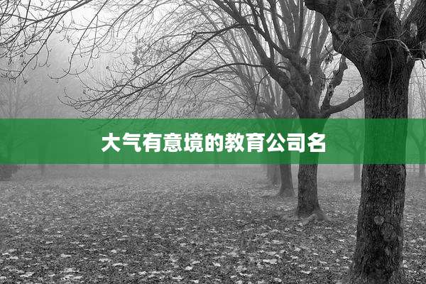 大气有意境的教育公司名