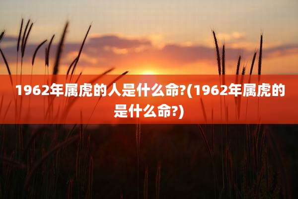 1962年属虎的人是什么命?(1962年属虎的是什么命?)