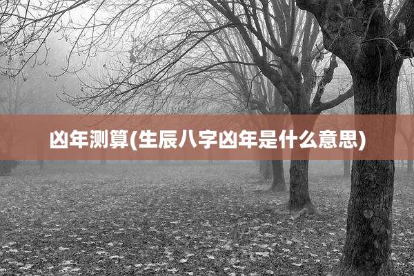 凶年测算(生辰八字凶年是什么意思)