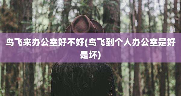 鸟飞来办公室好不好(鸟飞到个人办公室是好是坏)