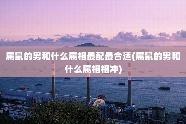 属鼠的男和什么属相最配最合适(属鼠的男和什么属相相冲)