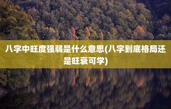 八字中旺度强弱是什么意思(八字到底格局还是旺衰可学)