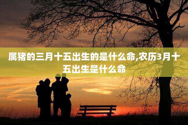 属猪的三月十五出生的是什么命,农历3月十五出生是什么命