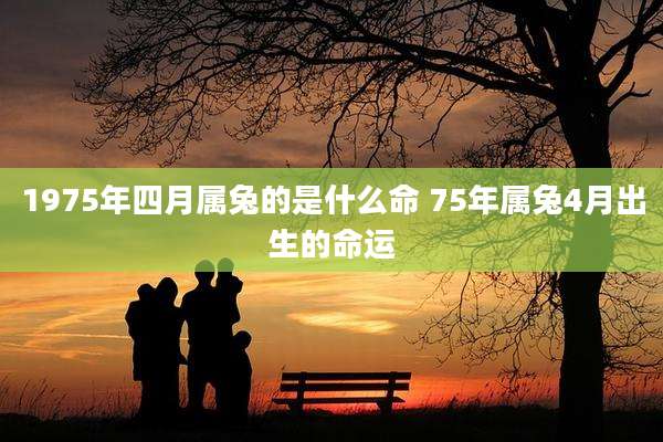 1975年四月属兔的是什么命 75年属兔4月出生的命运