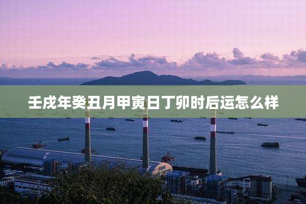 壬戌年癸丑月甲寅日丁卯时后运怎么样