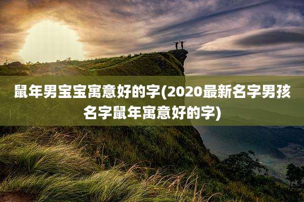 鼠年男宝宝寓意好的字(2020最新名字男孩名字鼠年寓意好的字)