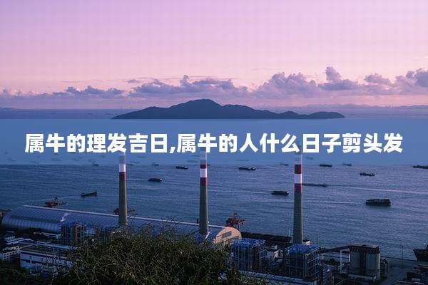 属牛的理发吉日,属牛的人什么日子剪头发