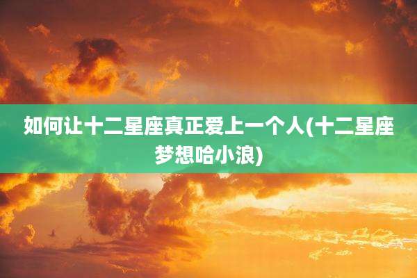 如何让十二星座真正爱上一个人(十二星座梦想哈小浪)