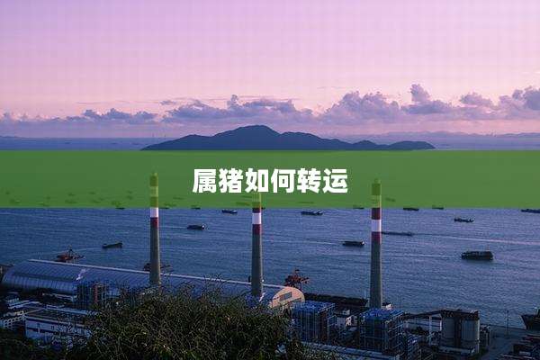 属猪如何转运