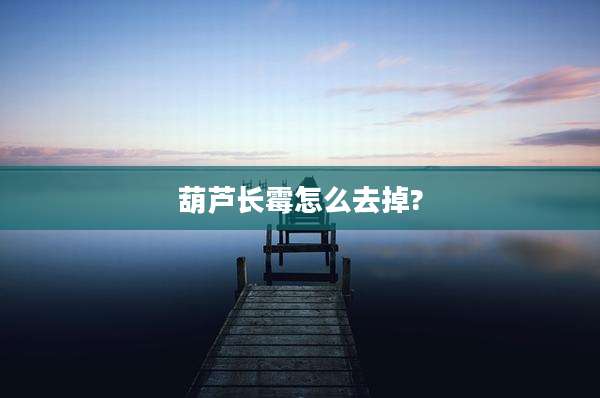 葫芦长霉怎么去掉?