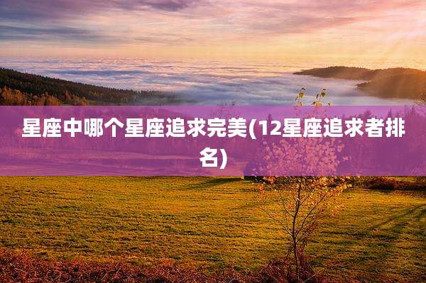 星座中哪个星座追求完美(12星座追求者排名)