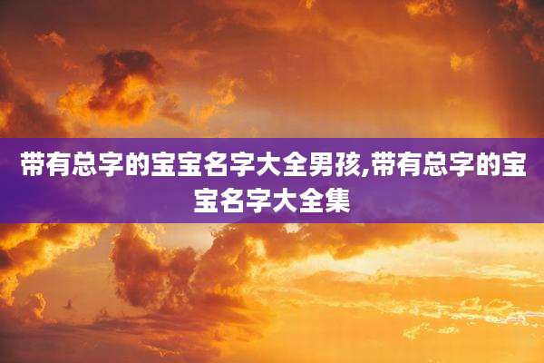 带有总字的宝宝名字大全男孩,带有总字的宝宝名字大全集