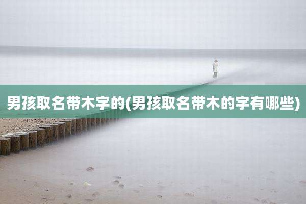 男孩取名带木字的(男孩取名带木的字有哪些)