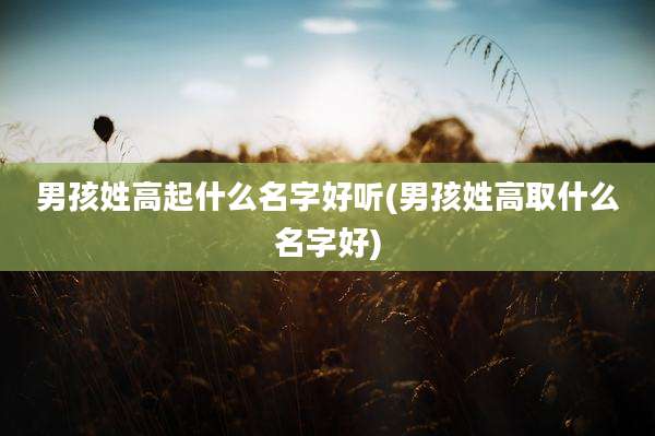 男孩姓高起什么名字好听(男孩姓高取什么名字好)