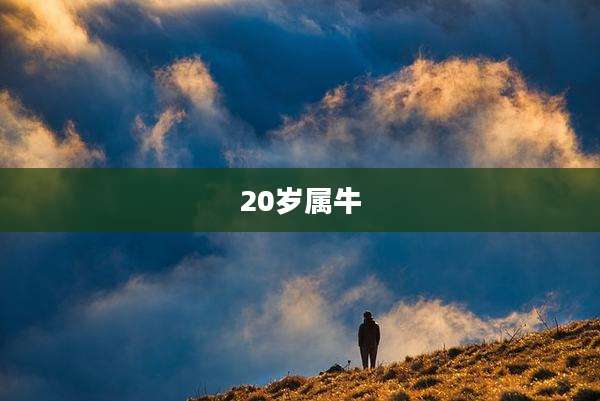 20岁属牛