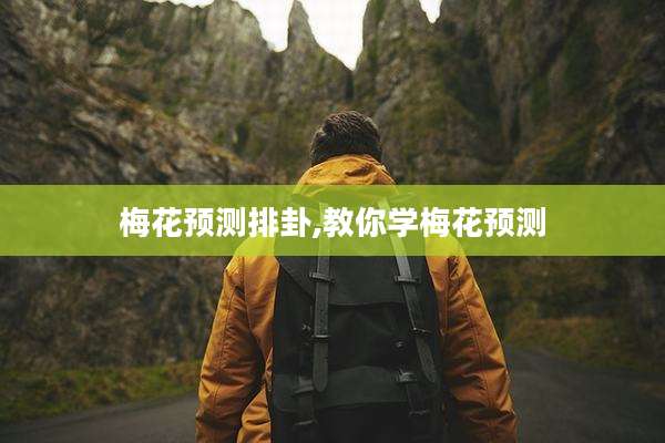 梅花预测排卦,教你学梅花预测