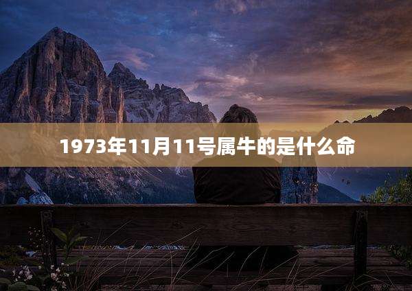 1973年11月11号属牛的是什么命