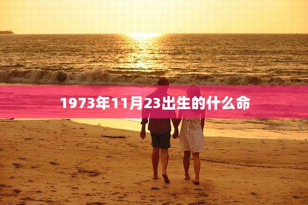 1973年11月23出生的什么命