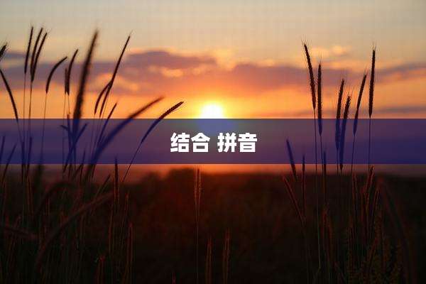 结合 拼音