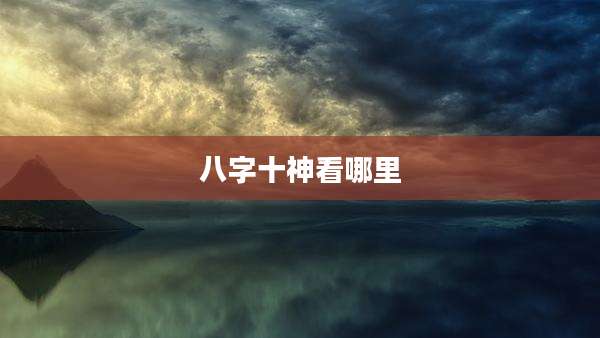 八字十神看哪里