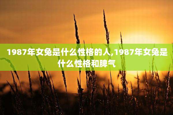 1987年女兔是什么性格的人,1987年女兔是什么性格和脾气