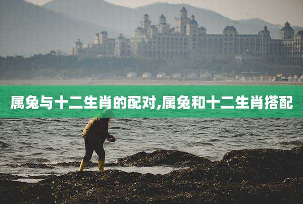 属兔与十二生肖的配对,属兔和十二生肖搭配