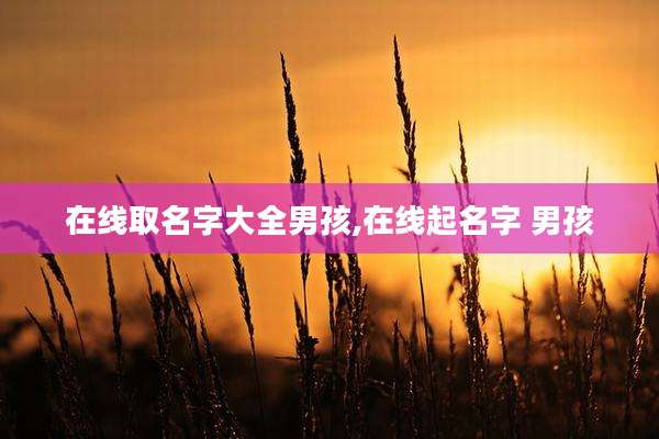 在线取名字大全男孩,在线起名字 男孩