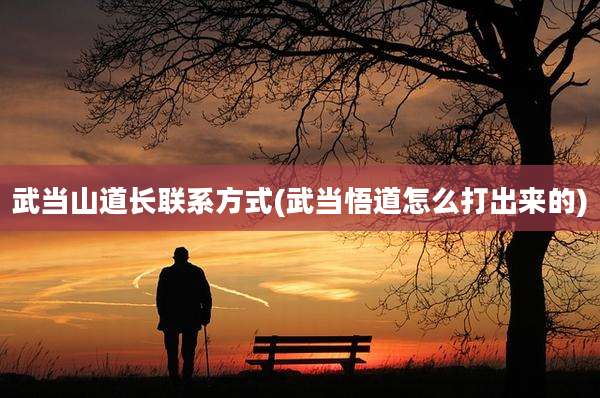 武当山道长联系方式(武当悟道怎么打出来的)