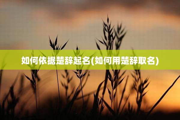 如何依据楚辞起名(如何用楚辞取名)