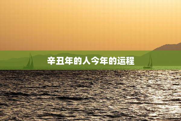 辛丑年的人今年的运程