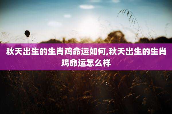 秋天出生的生肖鸡命运如何,秋天出生的生肖鸡命运怎么样