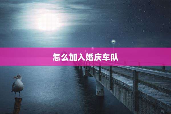 怎么加入婚庆车队