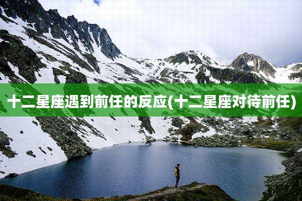 十二星座遇到前任的反应(十二星座对待前任)